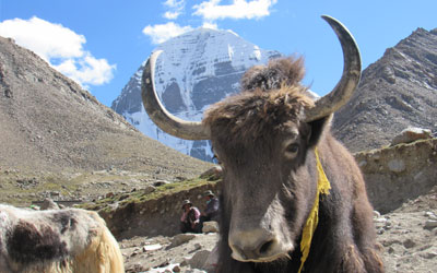 Kailash Tour From Lhasa to Lhasa